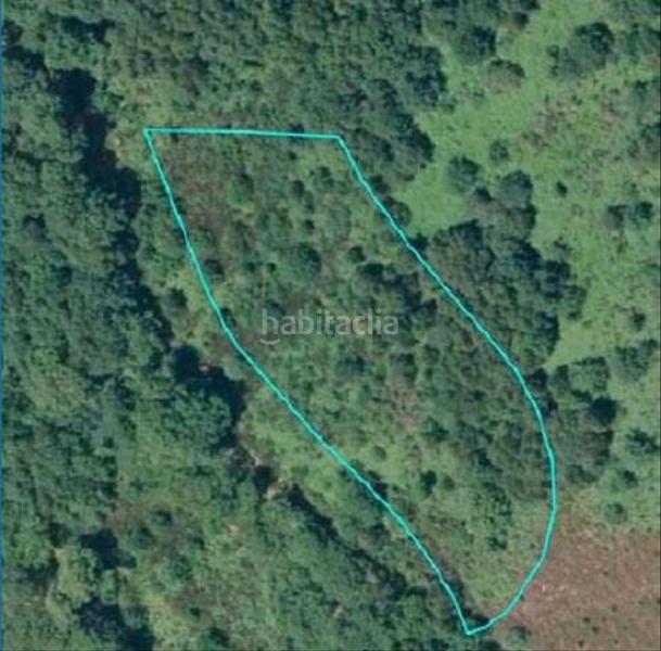 Foto d0f55aec-f008-4abb-80ac-81bdd0671c9d. Landgut in Incio (O)