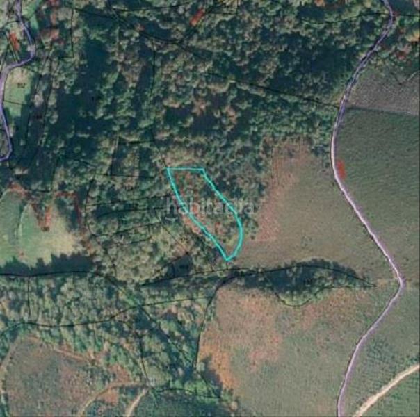 Foto ed73f410-db9a-424d-bf01-d8971845d401. Landgut in Incio (O)