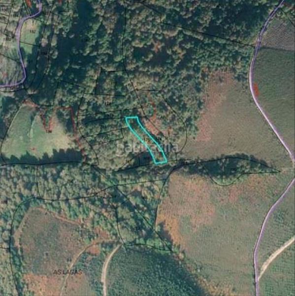 Foto 72e5b865-e34f-4271-b98e-cc5501836488. Landgut in Incio (O)