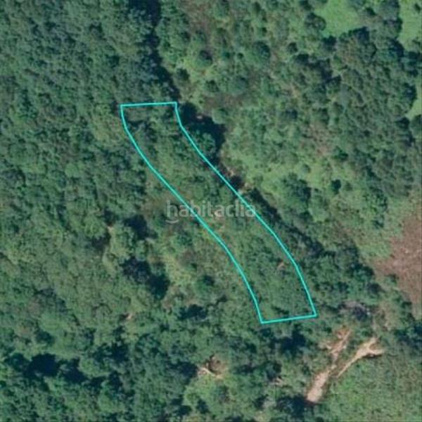 Foto 97d56da0-44f4-4fb6-8c9a-744ef063fd0f. Landgut in Incio (O)