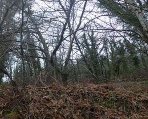 Rural plot in Salceda de Caselas
