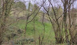 Propriété à El Berrón-La Carrera