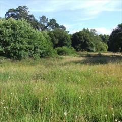 Finca rústica a Cambre