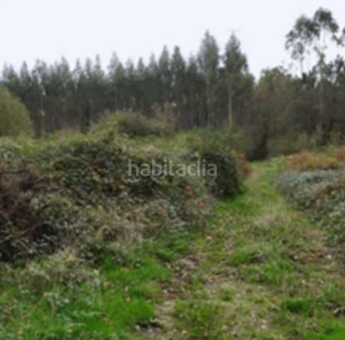 Foto 6157ef23-47c5-49b5-a30d-762efafd1992. Finca rústica a Monfero