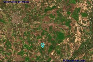 Landgut in Viso de San Juan (El)