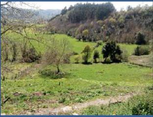 Propriété à Parroquias Norte