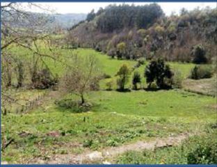 Rural plot in Parroquias Norte