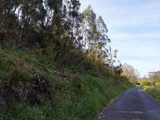 Residential Plot in Cedeira