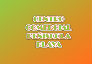 Local commercial  Avinguda del papa luna
