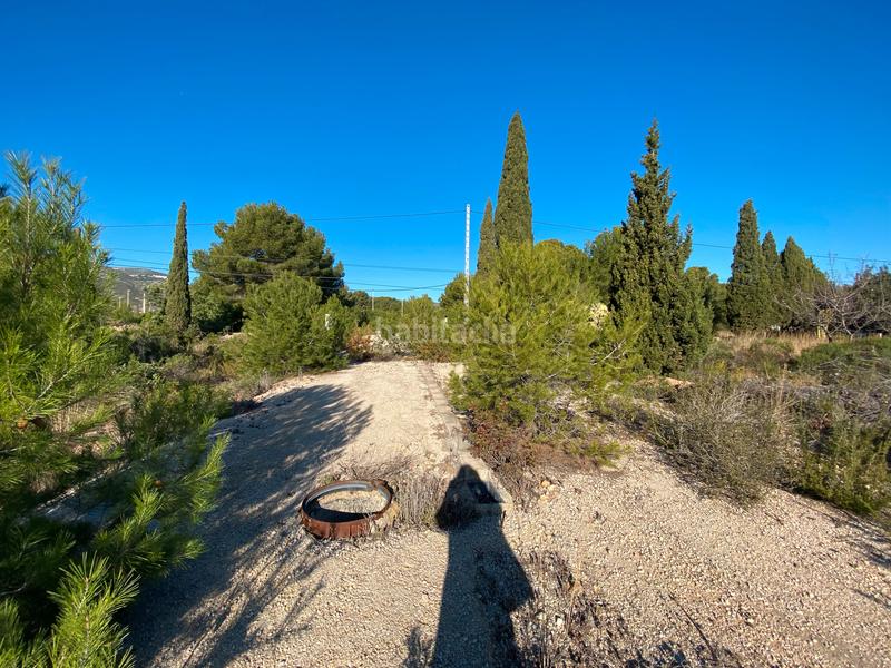 Foto 30d9ad59-8f82-4edc-93a3-65ee0287e76d. Residential plot in Costa Sur Peñíscola