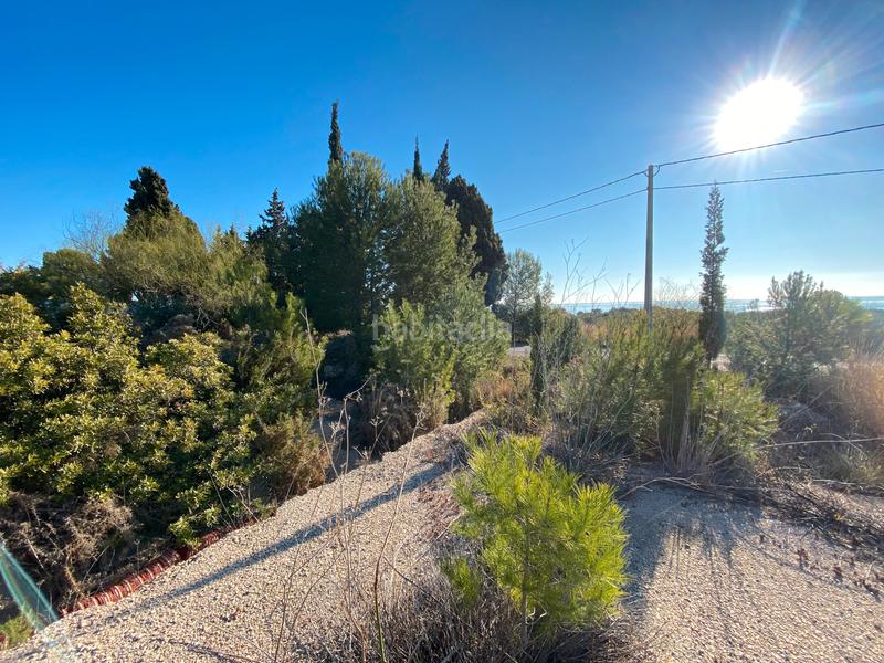 Foto 8e38aa44-d1a4-4bb8-9b8a-632992bb6a02. Residential plot in Costa Sur Peñíscola