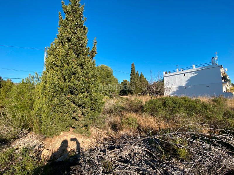 Foto b8872392-7dd1-476f-b51a-4dc06bb8543b. Residential plot in Costa Sur Peñíscola