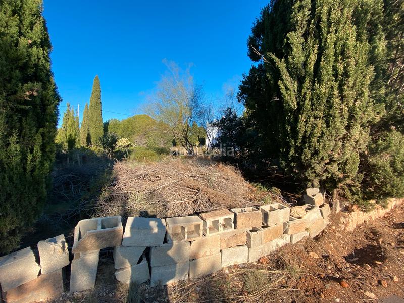 Foto c530b295-df78-4e05-bb06-b4a3212bf814. Residential plot in Costa Sur Peñíscola