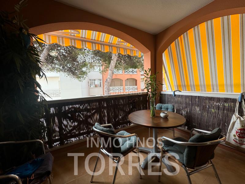 Foto 8feb7380-e7b5-4e7b-9376-ed2180ce8a7e. Piccolo appartamento con riscaldamento parcheggio piscina in Peñíscola