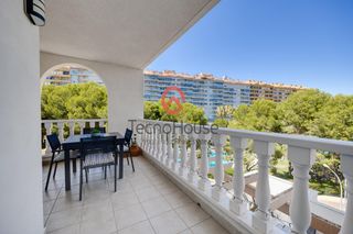 Apartamento  Calle calle samaniego