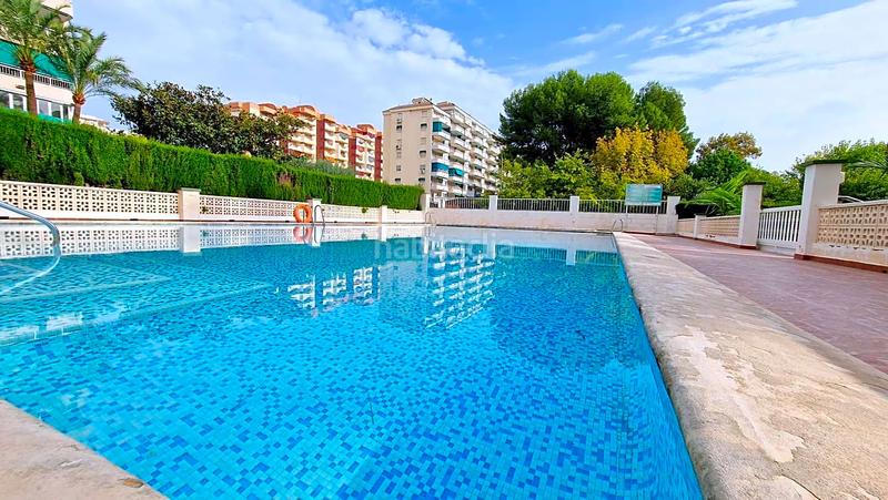 Foto 19b6ce7b-f4e4-4b6b-9fdd-2db66531d698. Alquiler apartamento en carrer de la rioja 125 sorolla 5 alquiler invierno verano en Gandia