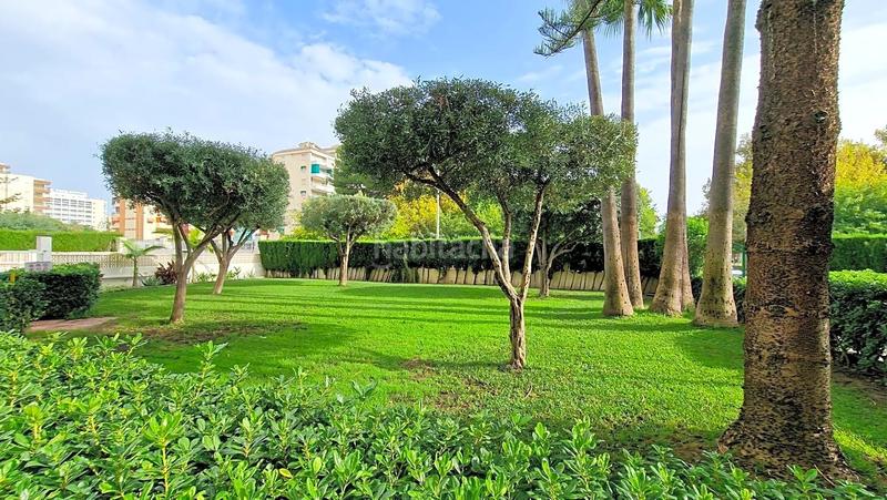 Foto 55d72033-8b97-4223-823d-fe6e11e31cf8. Lloguer apartament a carrer de la rioja 125 a Playa de Gandía Gandia