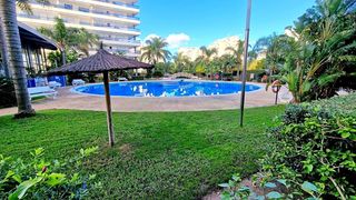 Miete Appartement in Del maestrat 11. Edén rioja salinas 10º  apartamento en playa de gandía  alquiler