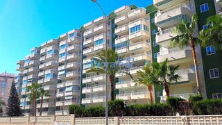 Miete Appartement in Rosa de los vientos 41. Rosa de los vientos 7º  apartamento en playa de gandía  alquiler