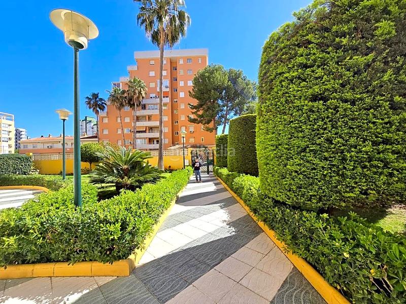 Foto 8bc0f575-5047-4daf-bdb6-dcf73a9dc895. Lloguer apartament a carrer camp de morvedre 39 a Gandia