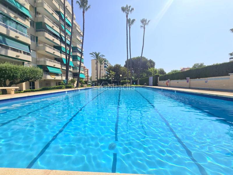 Foto 1897bc4a-79b0-46e9-a838-593b9a1eae7d. Lloguer apartament a carrer de la rioja 127 a Playa de Gandía Gandia