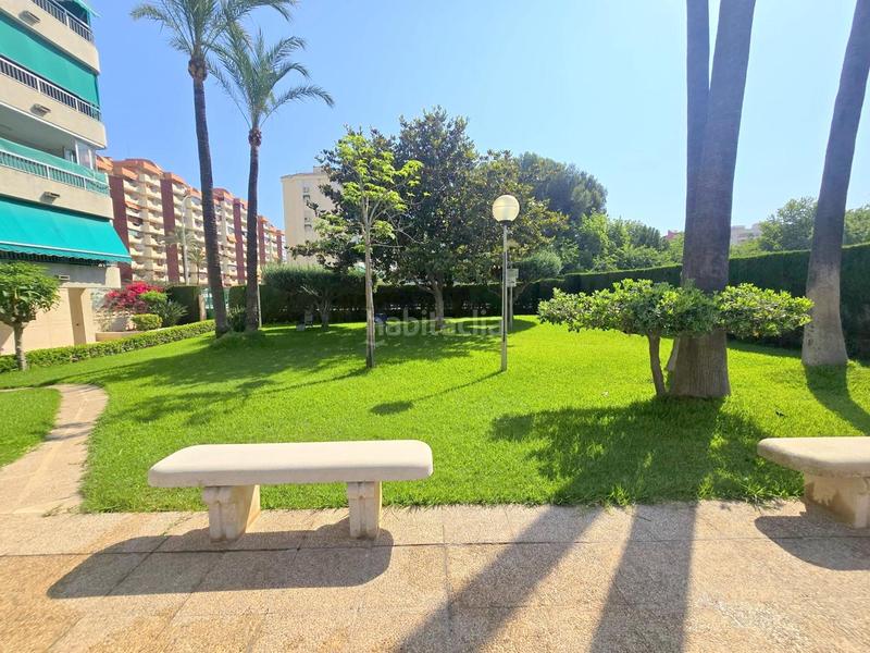 Foto c67ba903-ff24-4286-bfa5-f491467494b9. Lloguer apartament a carrer de la rioja 127 a Playa de Gandía Gandia