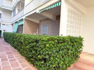 Lloguer Apartament  Marítim de neptú 58. Pb en 1 linea de playa de gandia alquiler temporada octubre juni