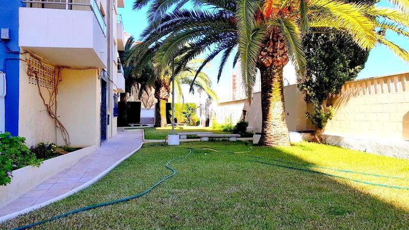 Foto 83ee4691-82d9-47f7-8fd2-0ce75818d439. Lloguer apartament a carrer de la rioja 129 a Playa de Gandía Gandia