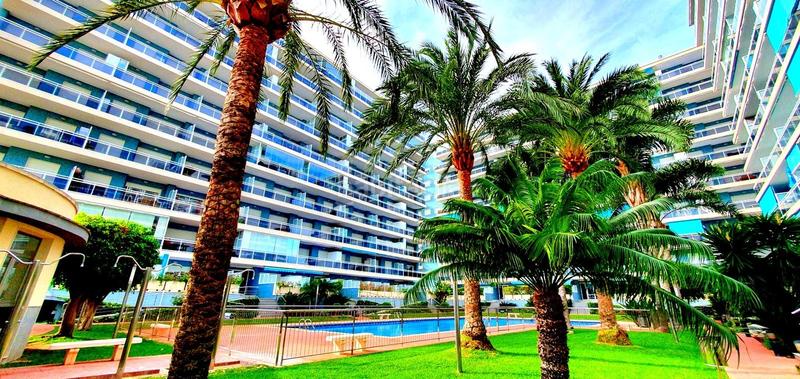 Foto 28904593-c6a9-4b41-b2e1-92ee326baf7d. Location appartement dans de la universitat 12 dans Gandia