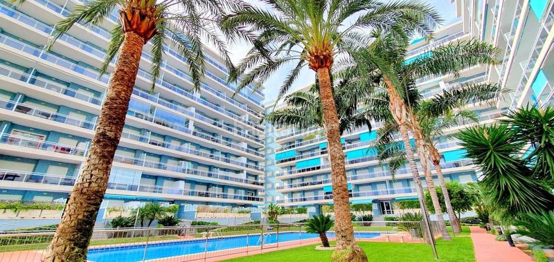 Foto e3ee0d4a-2952-4dd9-8c7e-54859cd781b7. Rent flat in de la universitat 12 in Grau de Gandía-Marenys de Rafalcaid Gandia