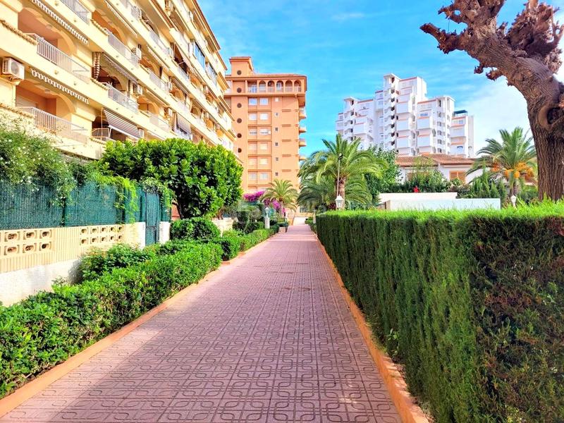 Foto 45ad09cf-98c1-4348-81e1-aadc3bf06988. Location appartement dans carrer de castella-lleó 13 dans Gandia