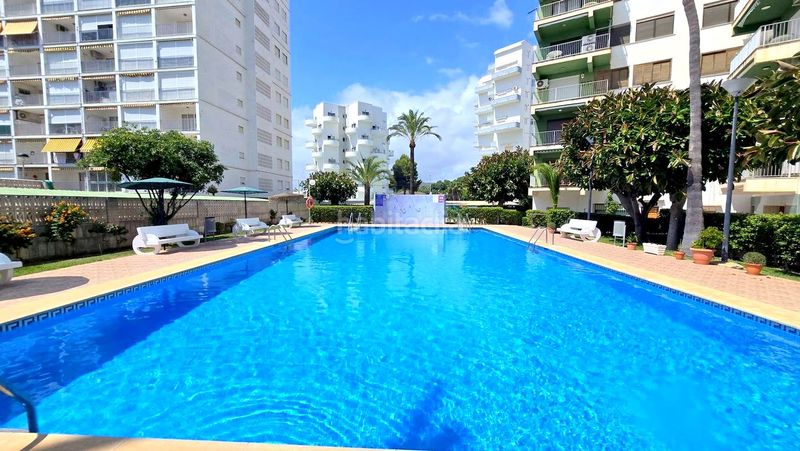 Foto 7e720220-9523-4207-8ecc-55db7bb83019. Apartament amb aparcament piscina a Playa de Gandía Gandia