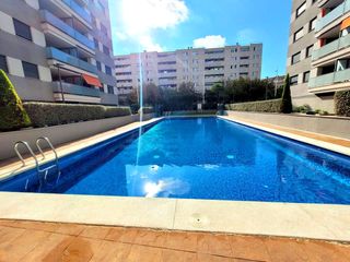 Rent Flat  De la universitat. Les llometes 3 1º 6  apartamento en playa de gandía  alquiler de