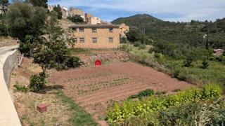 Propriété  Camino polígono 21 paraje 66 les sorts 24. Se vende parcela rústica de 714 m en alfara de carles tarragona.