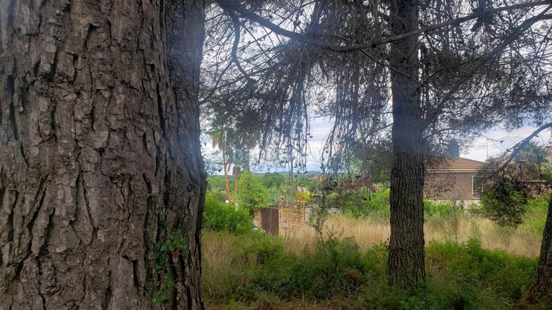 Foto 014bde95-85cf-4e9f-be43-b11b0082feb9. Terreny residencial a calle dels almogavers 6 a Catllar (El)