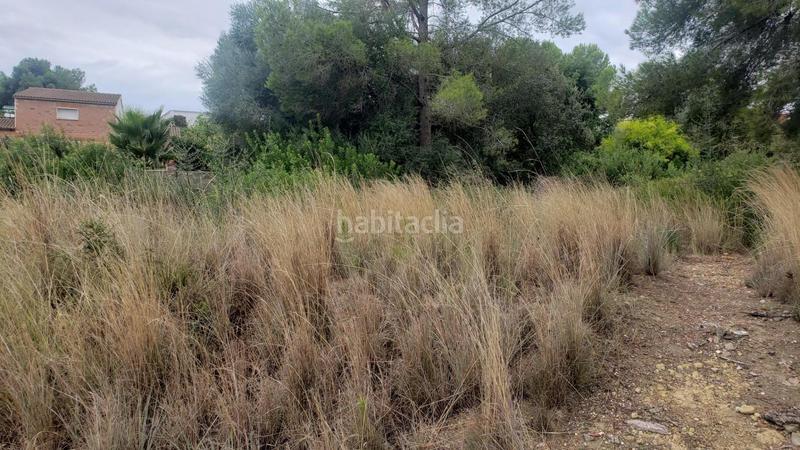 Foto 0717a53b-b95b-4475-bb93-c73adffbc6db. Terreny residencial a calle dels almogavers 6 a Catllar (El)