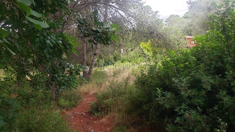 Foto 705037f3-0423-4895-b125-46e73d513b95. Terreny residencial a calle dels almogavers 6 a Catllar (El)