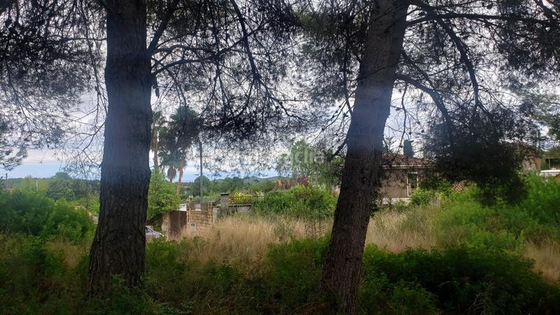 Foto dd1025d2-68c6-41c0-8562-532ad43012d3. Terreny residencial a calle dels almogavers 6 a Catllar (El)