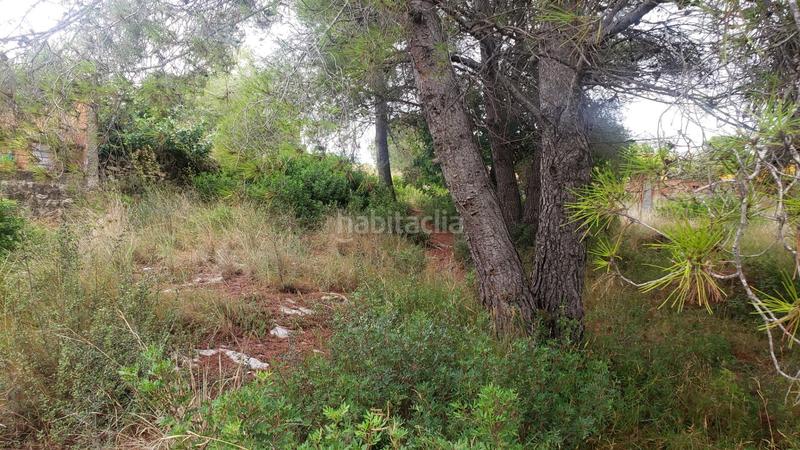 Foto fa9b6053-f5f9-41ce-ae0e-8a949f6c688d. Terreny residencial a calle dels almogavers 6 a Catllar (El)