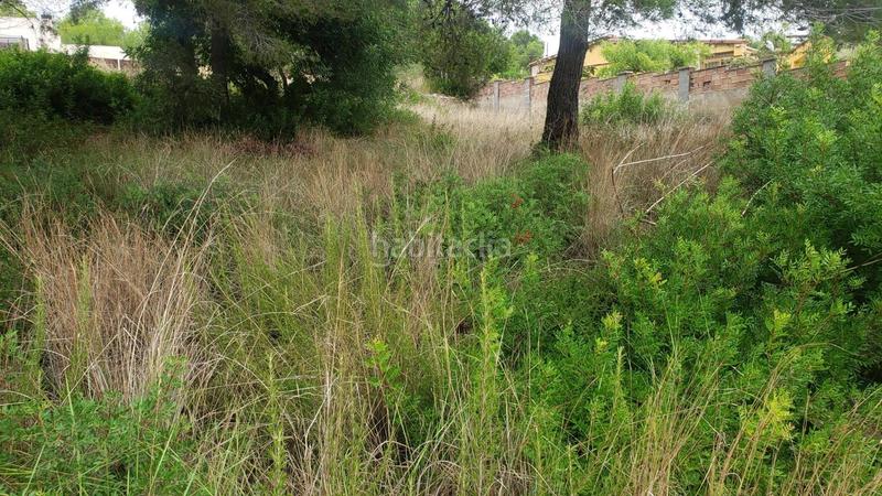 Foto ffe750a3-879c-4223-9d17-3a62a3913a92. Terreny residencial a calle dels almogavers 6 a Catllar (El)