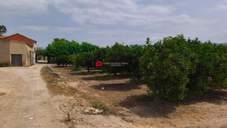 Casale  S bernabe. En venta en jesus, tortosa, finca de naranjos con almacen y casa