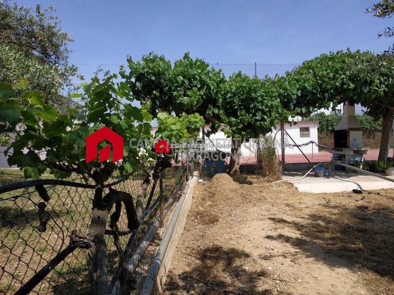 Foto b7626e19-e697-41a4-b032-4a145fe4693a. Masia a partida mas roig 56 a Aldea (L´)