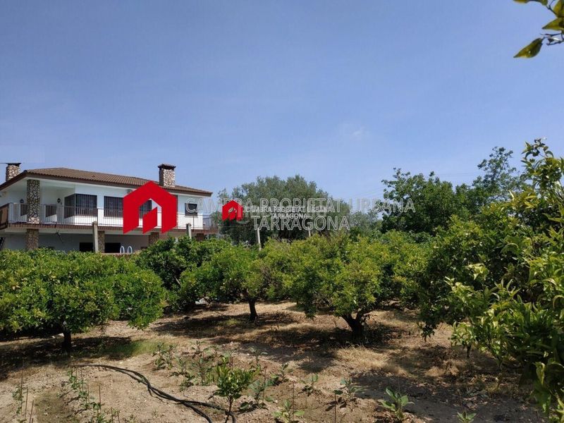 Foto ce395654-044d-4f9b-a786-c355165bee7a. Masia a partida mas roig 56 a Aldea (L´)