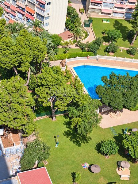 Foto b5311393-4c75-42c6-a28b-d51c46b257d2. Apartament amb calefacció piscina a Sierra Helada Benidorm