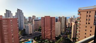 tic en Levante Alto. Impresionante y enorme tico en la zona de levante con unas vist
