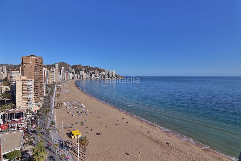 Foto 607f5ea4-1e2e-4d51-bd33-dc497f89c89d. Apartament amb calefacció piscina a Playa Levante Benidorm