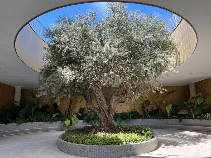 Foto 79353f70-ada8-41ed-b4e2-e1a638be5ee5. Apartament a Playa Poniente Benidorm