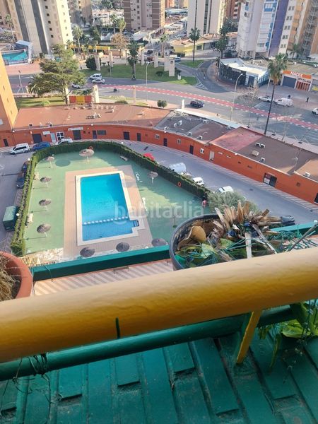 Foto bf358e88-be2e-4257-93f5-b945ef1e6136. Apartament amb piscina a Juzgados - Plaza de Toros Benidorm