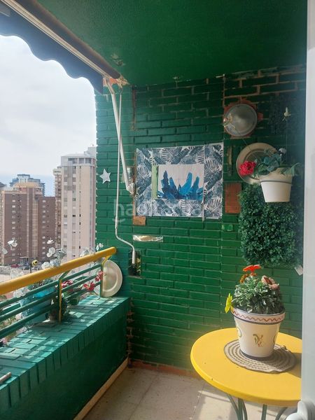 Foto cbe8ca12-d2d8-472e-9962-5075884c54b9. Apartament amb piscina a Juzgados - Plaza de Toros Benidorm