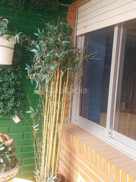 Foto f24db98b-280a-491c-b8a6-3960e0cd4abc. Apartament amb piscina a Juzgados - Plaza de Toros Benidorm